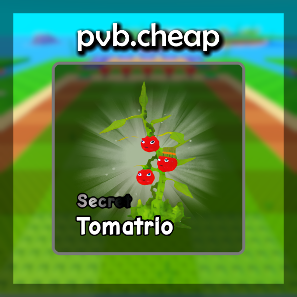 Tomatrio